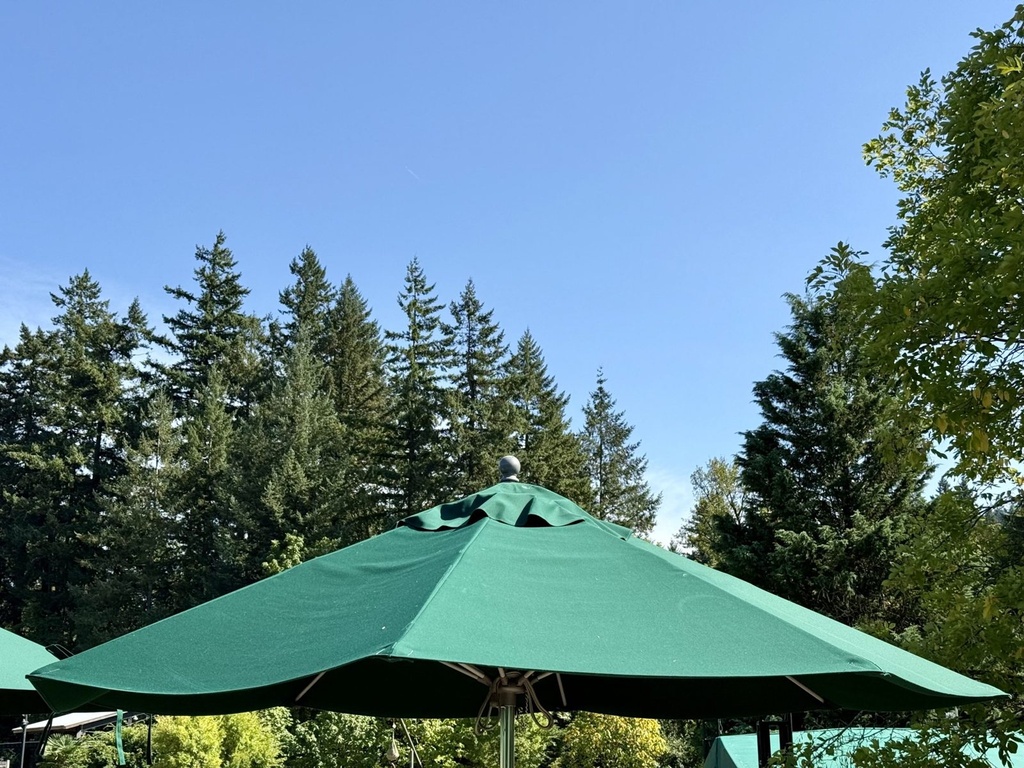 Parasol de terrasse